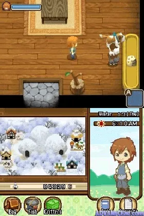 Harvest Moon DS - The Tale of Two Towns (USA) screen shot game playing